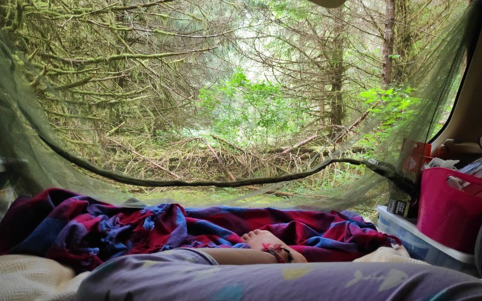 Resting time while visiting Olympic National park
